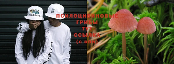 мяу мяу кристалл Алексеевка