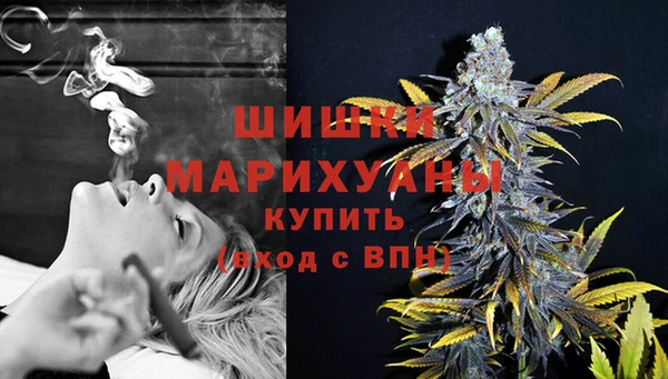мяу мяу мука Няндома