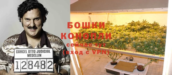 мескалин Алексин