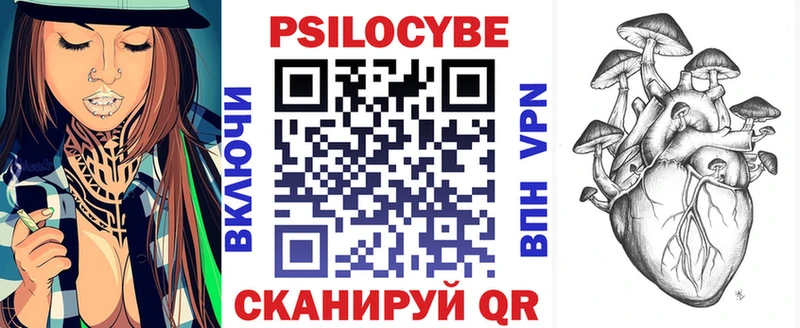 Псилоцибиновые грибы Cubensis  Павловская 